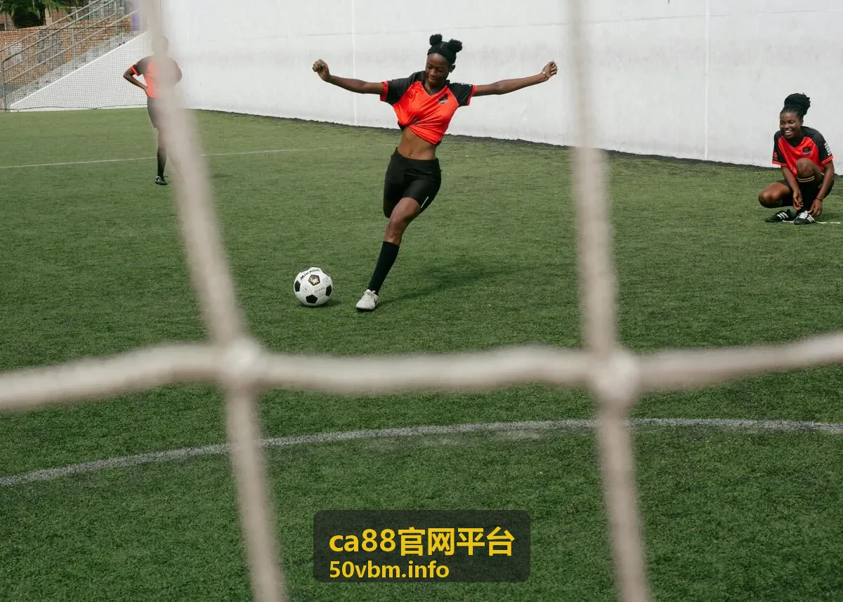 ca88官网平台访问常见反馈